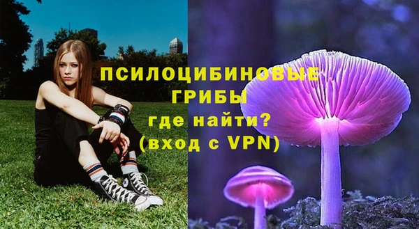 тгк Россошь